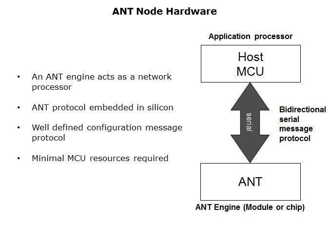 ANT-Slide5