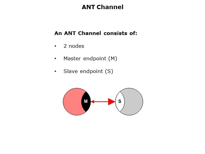 ANT-Slide8