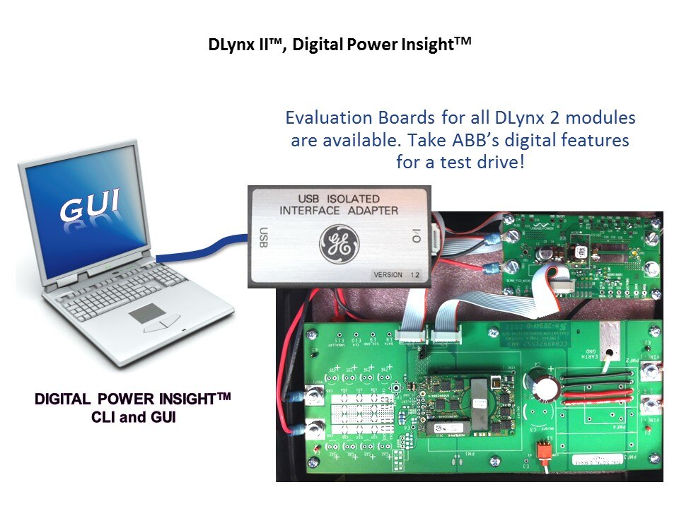 dlynx insight