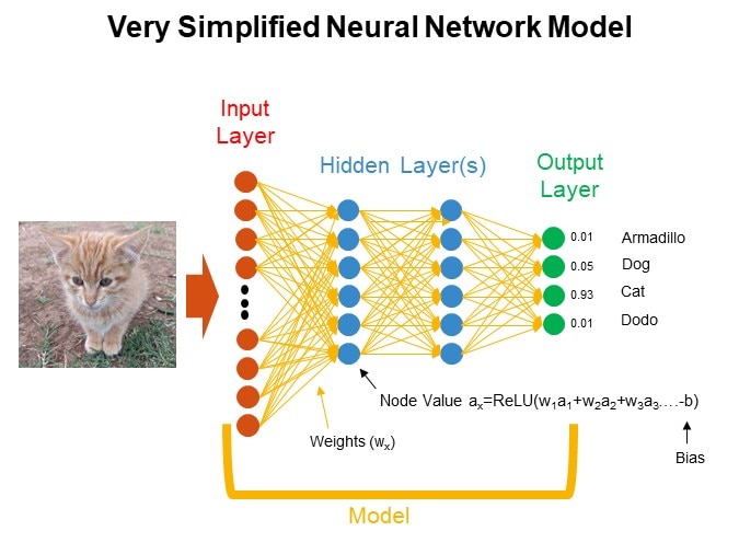 Very Simplified Neural Network Model