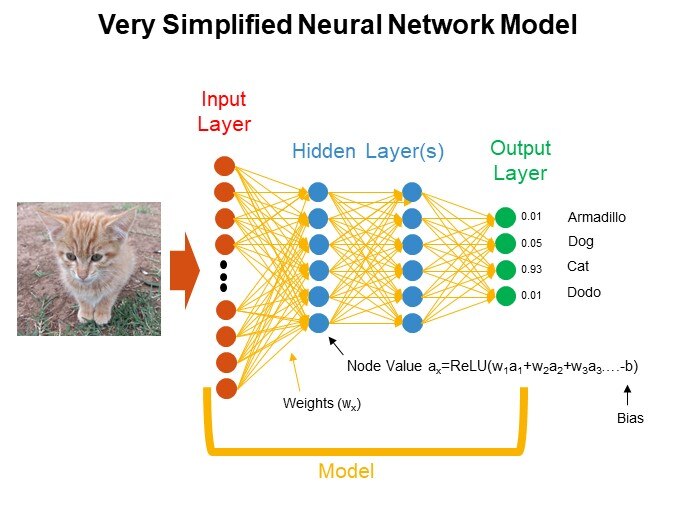 Very Simplified Neural Network Model