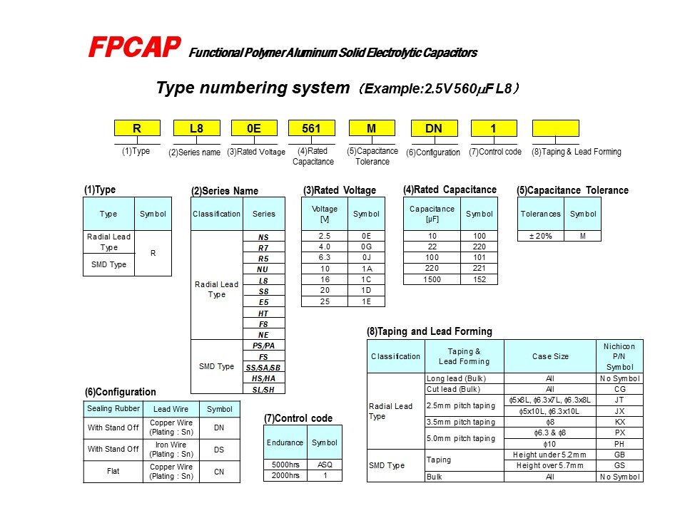 FPCAP-Slide13