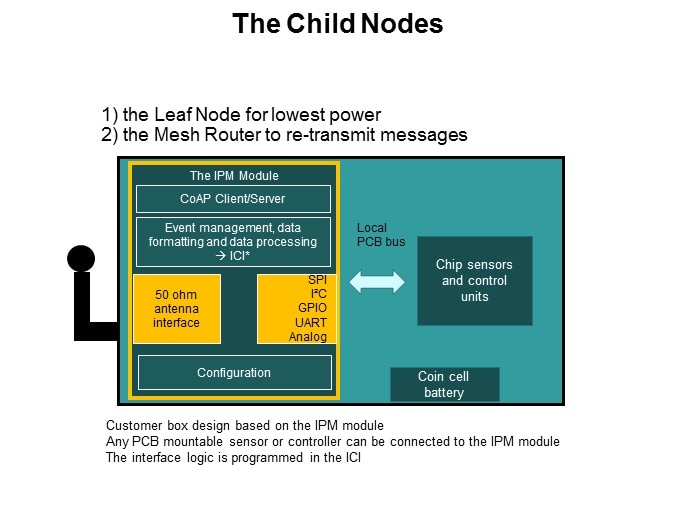 The Child Nodes 