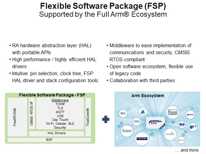 Flexible Software Package (FSP)