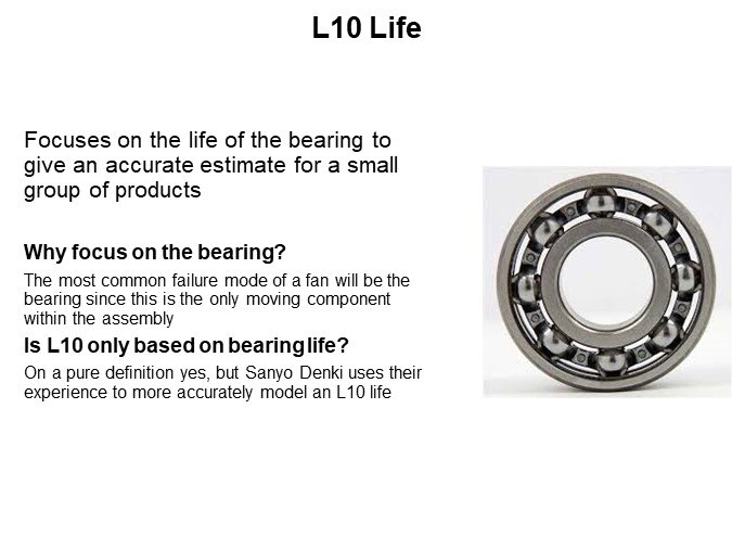 L10 Life