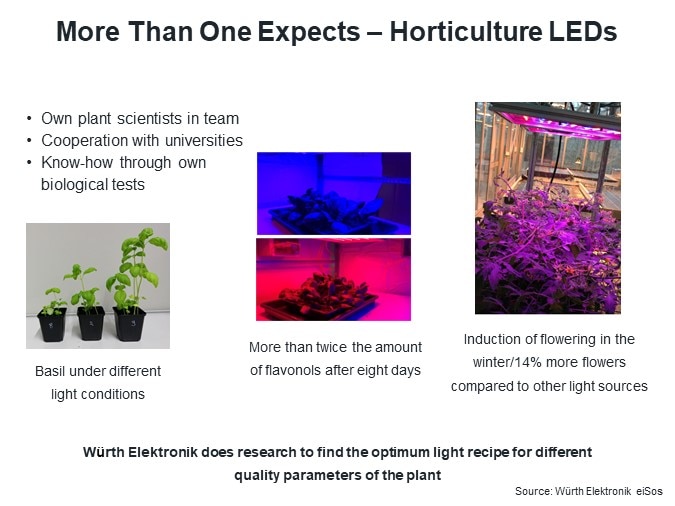 More Than One Expects – Horticulture LEDs