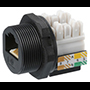 Image of ASSMANN WSW Components' Waterproof RJ45 Series Plugs and Jacks