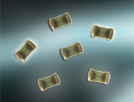 AVX Corporationが提供する低電流0402 LGAヒューズの画像