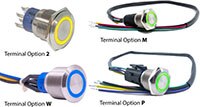 E-Switch ULV4、ULV7 和 ULV8 防破壞系列開關的圖片