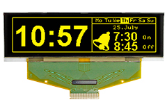 Image of Electronic Assembly/Display Visions EA W256064-XALG Compact Low-Power OLED Display