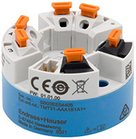 Bild von Endress+Hauser's iTEMP TMT31 Serie RTD Temperatur Sender