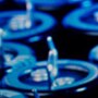 Nichicon Aluminum Electrolytic Capacitors Thumbnail