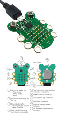 Pimoroni 的 CodeBug 图片