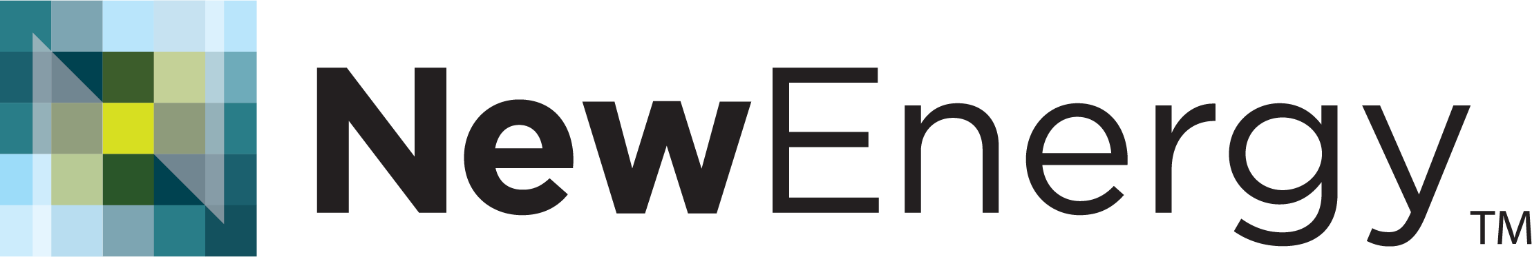 Image of New Energy logo