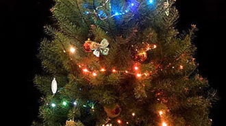 image of Simple and Beautiful NeoPixel Holiday Lights