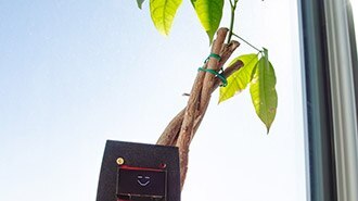 image of Smart Plant Care! Build a Qwiic Soil Moisture Sensor System