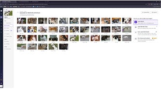 Create a Custom Object Detection Model with Photos
