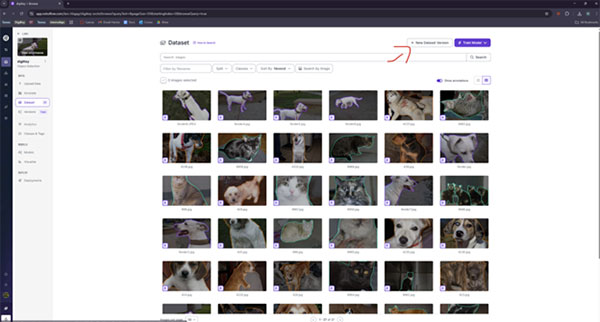 Image of Create a Custom Object Detection Model with Photos