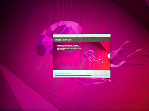 Image of Don’t Fear Ubuntu: How to Install It Successfully on Your First Try