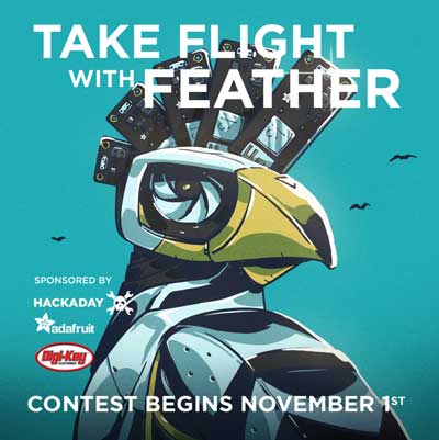 Image of Feather Contest WINNER