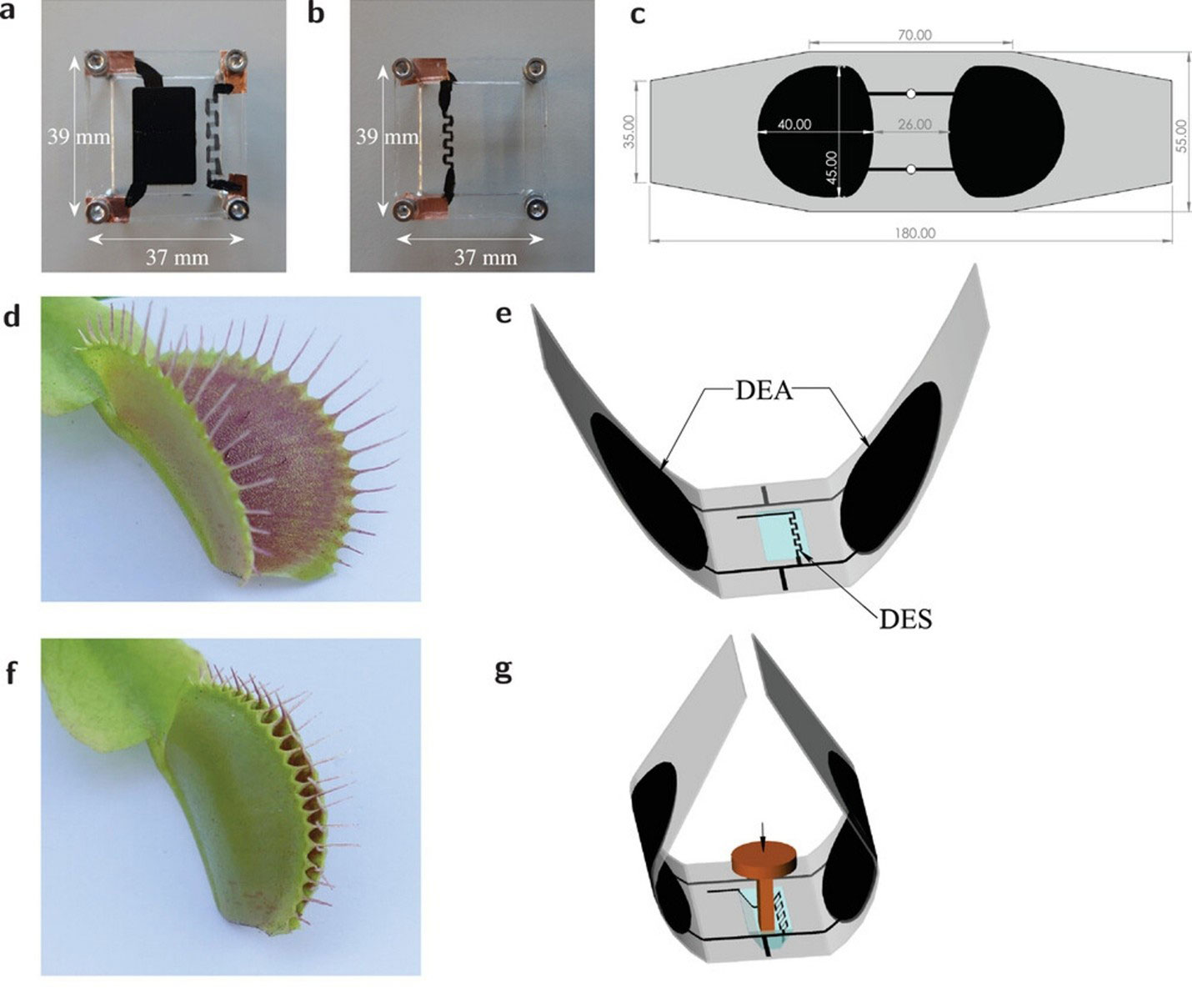 Image of Dielectric Elastomer Switches: Building Logic Gates with Soft Membranes