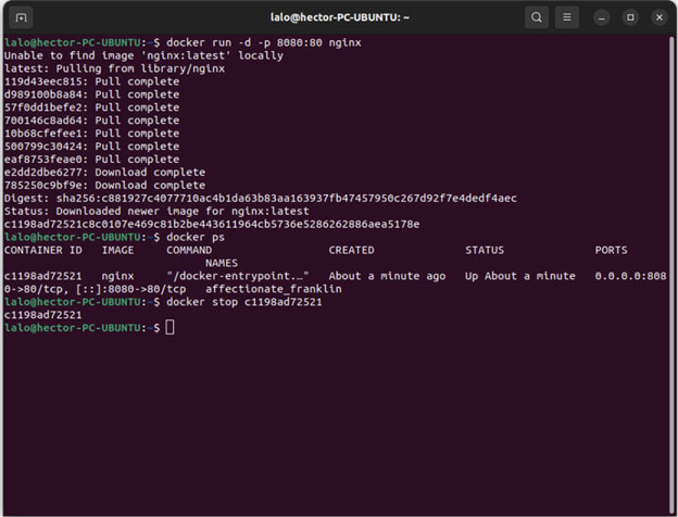 Image of Docker Part 2: Building Your First Container & Best Practices