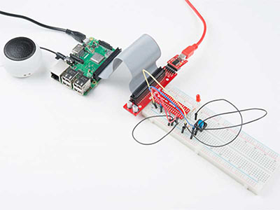 Python Programming Tutorial: Getting Started with the Raspberry Pi