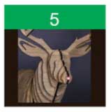 Reindeer