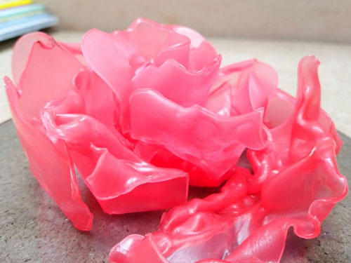 Rose_3