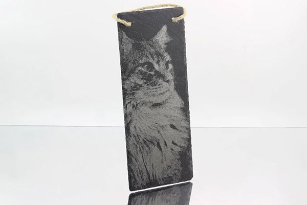 cat_5